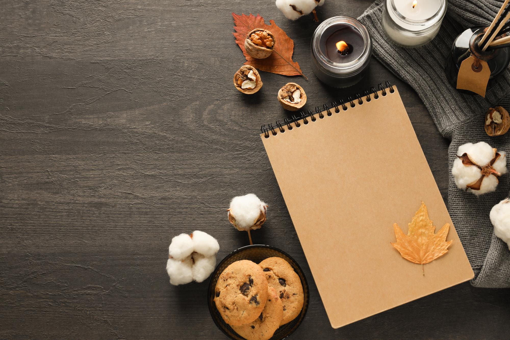 Paper sample menus laid out on a dark table